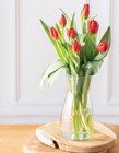 7 Tulipes - U en promo chez U Express Poitiers à 3,19 €