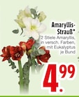 Amaryllis-Strauß  im aktuellen EDEKA Prospekt für 4,99 €