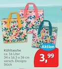 Kühltasche Angebote bei budni Pinneberg für 3,99 €