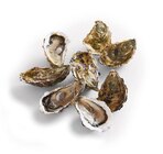 Huitres spéciales quiberon n°3 - Supermarchés Match à Liévin Huitres spéciales quiberon n°3 en promo chez Supermarchés Match Liévin à 8,99 €