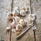 Ail SIMPL - SIMPL - Carrefour Ail SIMPL - SIMPL à 2,99 € dans le catalogue Carrefour