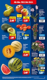 Ähnliche Stiefmütterchen Angebote im Prospekt "LIDL LOHNT SICH" von Lidl in Karlsruhe Ähnliche Angebote wie Stiefmütterchen im Prospekt "LIDL LOHNT SICH" auf Seite 3 von Lidl in Karlsruhe
