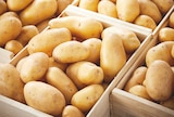Pomme de terre de consommation nouvelle récolte - Netto Pomme de terre de consommation nouvelle récolte à 2,69 € dans le catalogue Netto