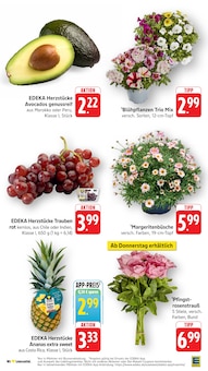 Blumen im E center Prospekt "Aktuelle Angebote" mit 79 Seiten (Reutlingen)