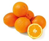 Orangen im aktuellen Netto mit dem Scottie Prospekt