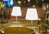 Set de 2 lampes twins à 39,99 € dans le catalogue Botanic