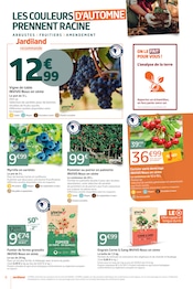Promos Table De Jardin dans le catalogue "LES 12J QUI COLORENT VOTRE AUTOMNE !" de Jardiland Table De Jardin en promo dans le catalogue Jardiland à la page 6