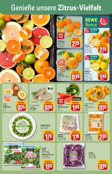 Kiwi im aktuellen REWE Prospekt (Nürnberg) Kiwi im REWE Prospekt "Dein Markt" mit 34 Seiten (Nürnberg)