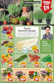 Ähnliche Angebote wie Ginster im Prospekt "Dein Markt" auf Seite 7 von REWE in Augsburg