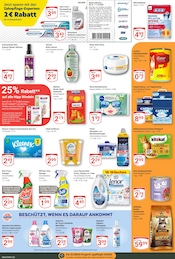 Aktueller GLOBUS Prospekt mit Duftkerzen, "Aktuelle Angebote", Seite 19