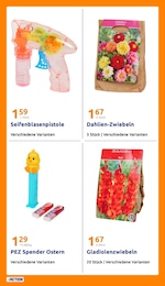 Zwiebeln Angebot & Preis im aktuellen Action Prospekt Zwiebeln Angebot im aktuellen Action Prospekt auf Seite 21