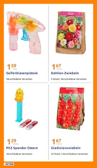 Pflanzen im aktuellen Action Prospekt (Hannover) Pflanzen im Action Prospekt "Wochenangebote" mit 31 Seiten (Hannover)