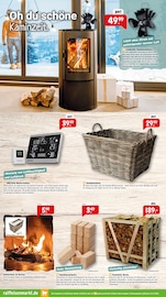 Ähnliche Angebote wie Braunkohlebriketts im Prospekt "Die kalte Jahreszeit steht vor der Tür" auf Seite 4 von Raiffeisenmarkt in Marl