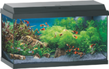 Maxi Zoo Saint-Dié-des-Vosges - Promo Kit de démarrage Aquarium 60 Promo Kit de démarrage Aquarium 60 à 80,00 € dans le catalogue Maxi Zoo à Saint-Dié-des-Vosges