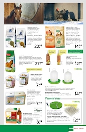 Teppich Angebot im aktuellen BayWa Bau- und Gartenmärkte Prospekt auf Seite 19