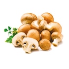 Kultur-champignons braun für 1,19 € bei Netto mit dem Scottie im Angebot Kultur-champignons braun im aktuellen Netto mit dem Scottie Prospekt