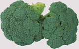 EDEKA Münster - Spanien Broccoli Angebot im Prospekt Spanien Broccoli bei EDEKA im Münster Prospekt für 1,29 €