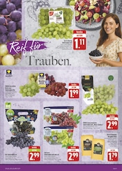 Mixer im E center Prospekt in Schwabach Aktueller E center Prospekt mit Mixer, "Wir lieben Lebensmittel!", Seite 9