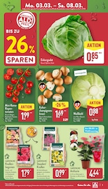 Aktueller ALDI Nord Prospekt mit Tomaten, "Aktuelle Angebote", Seite 3