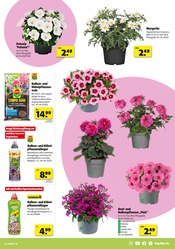 Aktueller Hagebaumarkt Prospekt mit Dünger, "LASS DEN SÜDEN BEI DIR EINZIEHEN", Seite 3