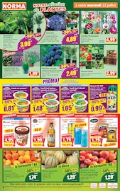 Promos Red Bull dans le catalogue "Votre Discounter Régional" de Norma Red Bull en promo dans le catalogue Norma à la page 4