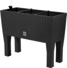 2-in-1-Hochbeet im aktuellen Kaufland Prospekt