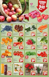 REWE Gurken im Prospekt REWE Gurken im Prospekt