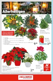 Adventsgesteck im Hellweg Prospekt Adventsgesteck im Hellweg Prospekt Die Profi-Baumärkte auf S. 24