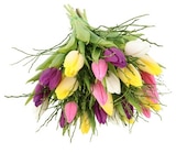 Aktuelles Tulpenstrauß »Lollipop« Angebot bei REWE in Nürnberg ab 3,79 €