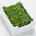 Aktuelles Rucola Angebot bei METRO in Hamburg ab 5,88 €