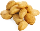 Aktuelle Kartoffeln Angebote bei REWE in Hildesheim Aktuelles Speisekartoffeln Angebot bei REWE in Hildesheim ab 1,69 €