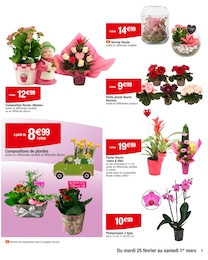 Offre Plante D'intérieur dans le catalogue Carrefour du moment à la page 3