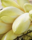Promo Endive à 1,89 € dans le catalogue Intermarché Contact à Mûr-de-Bretagne