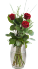 Rosen Angebote bei E center Konstanz für 3,99 €