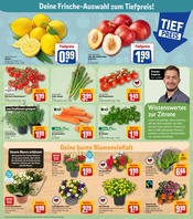 Cherry Angebot im REWE Prospekt, gültig von 30.05.2023 bis 03.06.2023 Cherry Angebot im aktuellen REWE Prospekt auf Seite 5