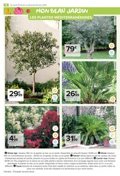 Laurier Angebote im Prospekt "PROFITER ENFIN DE SON JARDIN : PLANTATIONS" von Carrefour Market auf Seite 8