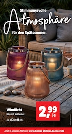 Windlicht Angebote im Prospekt "Top Angebote" von Thomas Philipps Windlicht Angebote im Prospekt "Top Angebote" von Thomas Philipps auf Seite 4