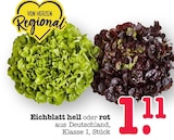 Aktuelles Eichblatt hell Angebot bei E center in Frankfurt (Main) ab 1,11 €