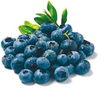 Heidelbeeren bei Netto mit dem Scottie im Dresden Prospekt für 1,09 €