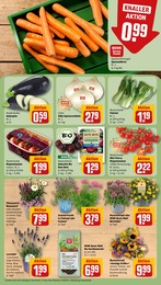Blumen Angebot & Preis im aktuellen REWE Prospekt Blumen Angebot im aktuellen REWE Prospekt auf Seite 7