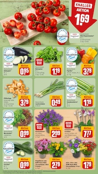 Pfifferlinge im REWE Prospekt "Dein Markt" mit 26 Seiten (Augsburg)