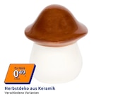Herbstdeko im Action Prospekt Herbstdeko von im aktuellen Action Prospekt für 0,49 €