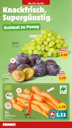 Weintrauben Angebot & Preis im aktuellen Penny Prospekt Weintrauben Angebot im aktuellen Penny Prospekt auf Seite 2