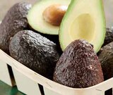Avocat Affiné en promo chez Intermarché Besançon à 2,00 €