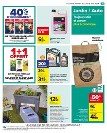 Promo Plante Verte dans le catalogue Carrefour du moment à la page 33