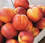 Nectarine en promo à 2,49 € chez Netto Nectarine dans le catalogue Netto