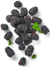 Kaufland Pforzheim - Portug. Brombeeren Angebot im Prospekt Portug. Brombeeren bei Kaufland im Pforzheim Prospekt für 1,79 €