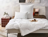 Aktuelle Bettdecke Angebote bei XXXLutz Möbelhäuser in Koblenz Aktuelles Sommerbett „Levante“ Angebot bei XXXLutz Möbelhäuser in Koblenz ab 19,99 €