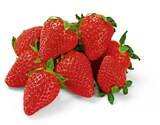 Aktuelles Erdbeeren Angebot bei Netto Marken-Discount in Remscheid ab 1,49 €