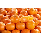 Carrefour Market Bergerac - Promo Clémentine CARREFOUR Le Marché Promo Clémentine CARREFOUR Le Marché à 2,99 € dans le catalogue Carrefour Market à Bergerac